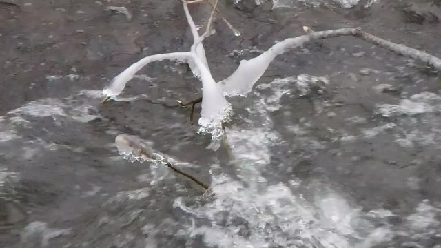 rivi&egrave;re en hiver