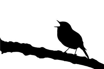 robin redbreast abstract