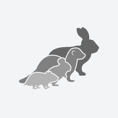 Pets silhouettes. rabbit, ferret, chinchilla, hamster. logo of pet store or veterinary clinic
