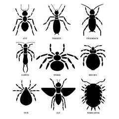 Insects