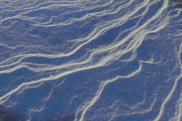 Beautiful snow texture