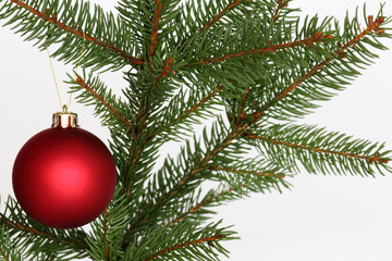 red ball on a Christmas tree