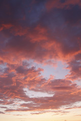 Summer sky