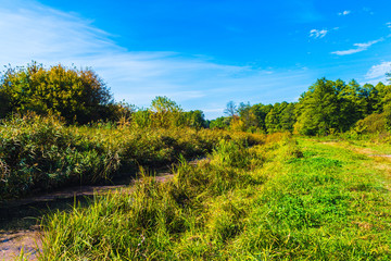 Obraz premium small river in autumn season
