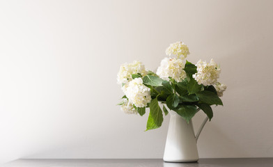 Weiße Hortensien im Krug auf schwarzem Tisch gegen weiße Wand (Tiefenschärfe)