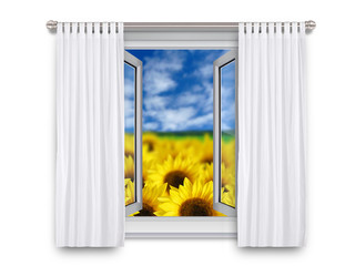 Open Window - Sunflowers