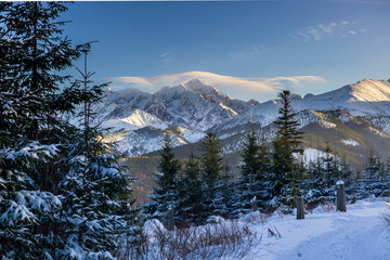 View on Ice Peak from Rusinowa Polana - Tatra Mountains © grzegorz_pakula