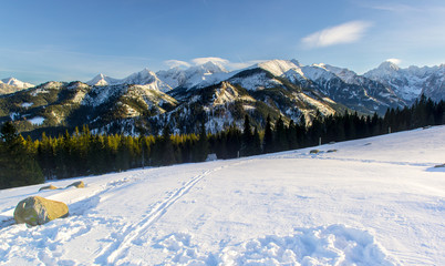 Tatra Mountains view from Rusinowa Polana © grzegorz_pakula