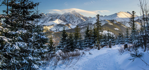 View on Ice Peak from Rusinowa Polana - Tatra Mountains © grzegorz_pakula