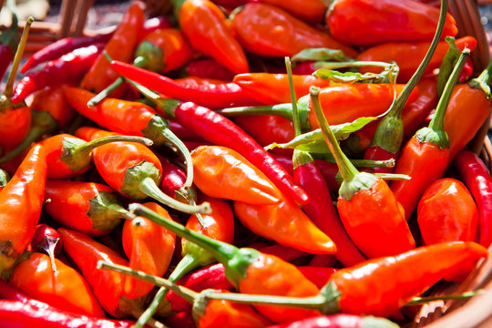 Острый перец чили / Chili peppers