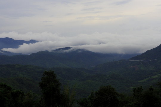 Mountain valley in mist. Natural landscape. © Walker one