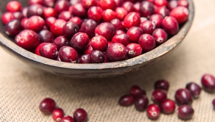 Fresh cranberries  in rustic wooden bowl on burlap Background an