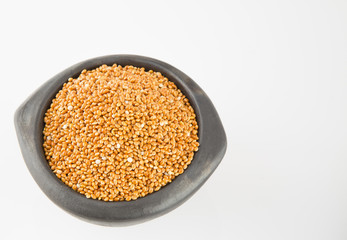 Millet cereal grains (Panicum miliaceum)