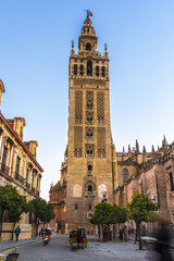 Fototapeta na wymiar Giralda tower,Seville, Andalusia, Spain
