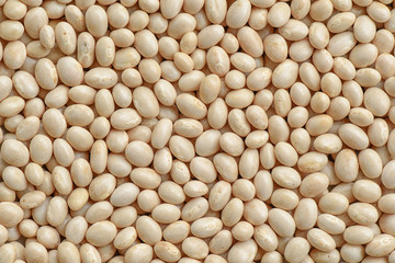 Prepared Navy bean for cooking and background, White bean background
