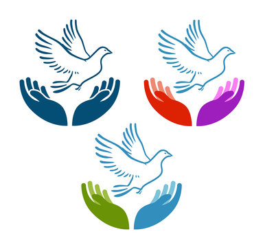Pigeon of peace flying from open hands icon. Charity, ecology, natural environment vector logo or symbol