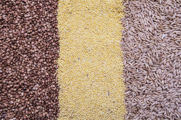 buckwheat, millet, oat background, texture