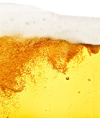beer closeup alcohol drink beverage