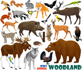 set of cute woodlands animals