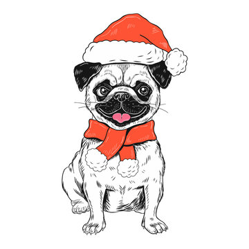 Funny christmas pug dog vector illustration