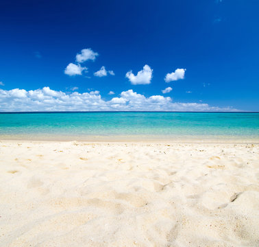 Fototapeta  beach and tropical sea