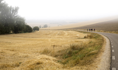 landscape with pilgrims walking a country road on a foggy day next to Burgos, Spain