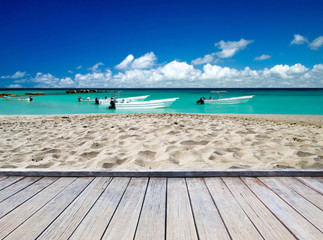 Fototapeta premium tropical sea