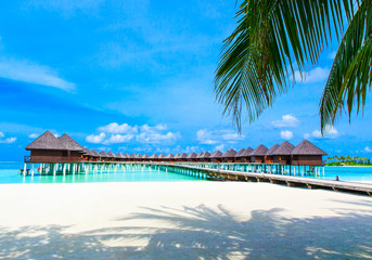  Maldives