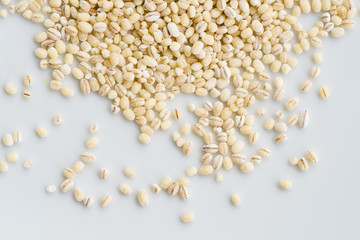 Wheat on white plate background