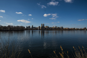 Central Park, NYC 