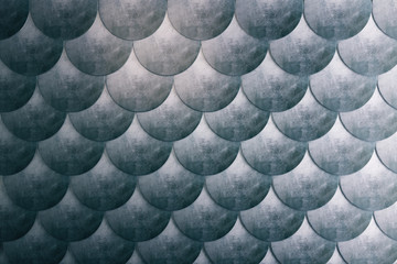 Dark fish scales background © Who is Danny