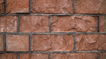 Obraz premium nature, texture, background