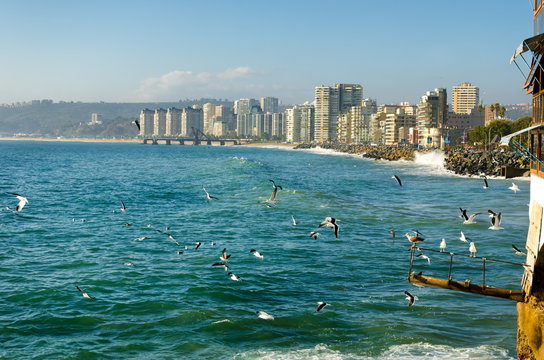 Vina Del Mar Beach In Chile