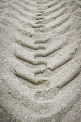 Fototapeta na wymiar Photosquirrel Photography Sand Tracks