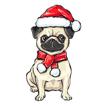 funny Christmas pug dog in Santa hat, vector illustration