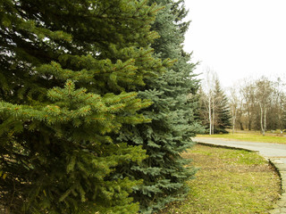 Textures, backgrounds