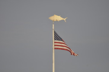 Flag and Fish