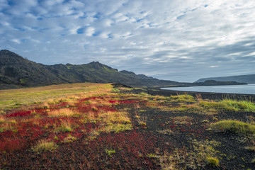 Icelandic colorful and wild landscape at summer