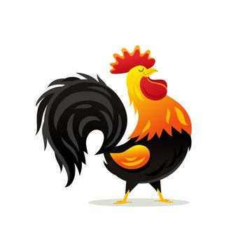 Cartoon drawing of a handsome rooster Stock Vector | Adobe Stock