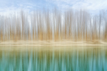 Abstract Winter trees on a river bank reflecting into water