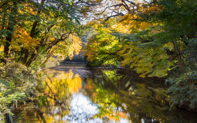 Japanese park in autumn with river