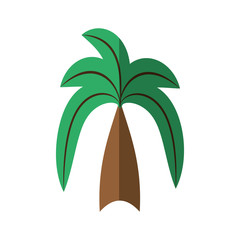 cartoon green palm coconut beach tree vector illustration eps 10