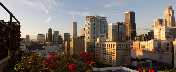 Views of downtown LA No. 2