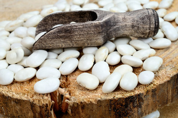white beans on table