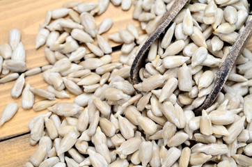 sunflower seed on table