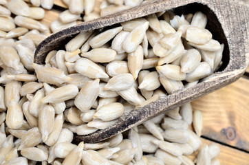 Obraz premium sunflower seed on table
