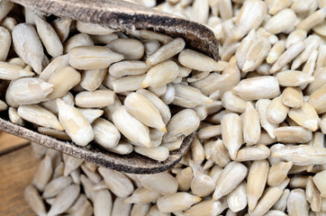 sunflower seed on table