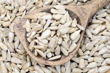 sunflower seed on table