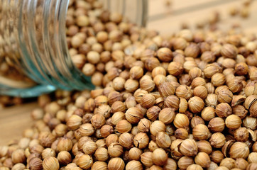coriander on table