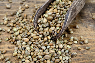 hemp seed on table